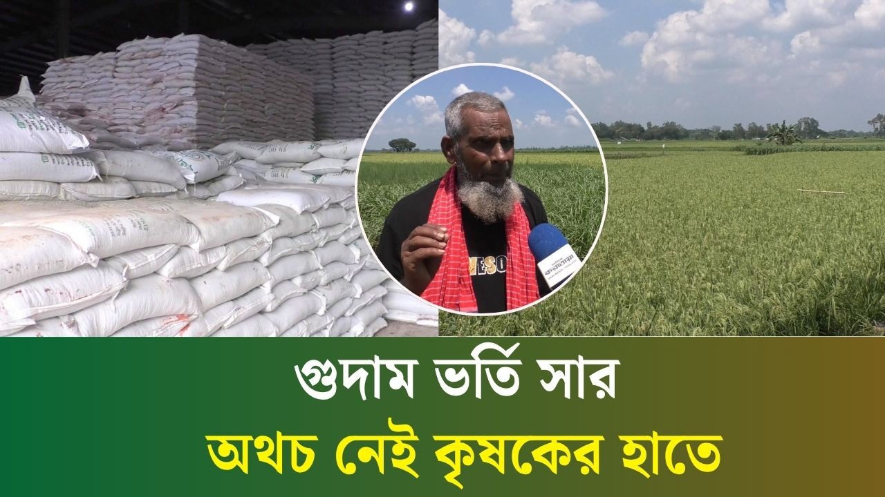 বগুড়ায় কৃত্রিম সংকট : সার আছে গুদামে, নেই কৃষকের হাতে